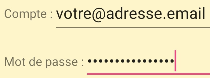 Screenshot saisie identifiant